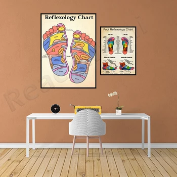 Pėdų masažas, refleksologijos, refleksoterapija infographic plakatas, masažas terapeutas, meno kūrinius, akupresūra ir refleksas shiatsu plakatas,